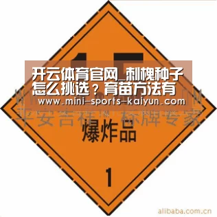 开云体育官网